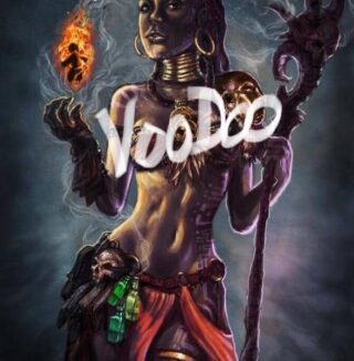 https://clpaudio.com/wp-content/uploads/2023/09/Voodoo-320x326.jpg